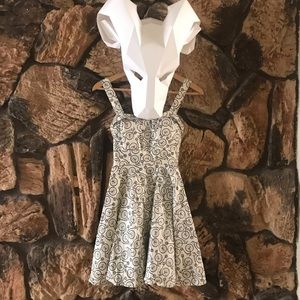 Fit and flare bicycle print skater dress